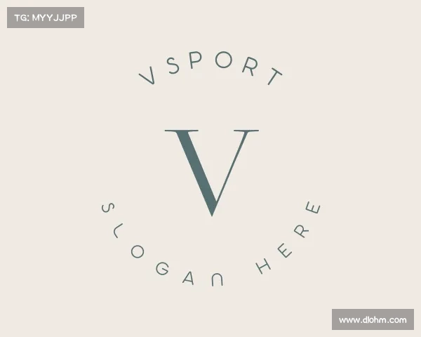 关于Vsport